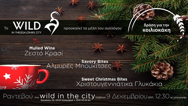 Ραντεβού στο WILD IN THE CITY