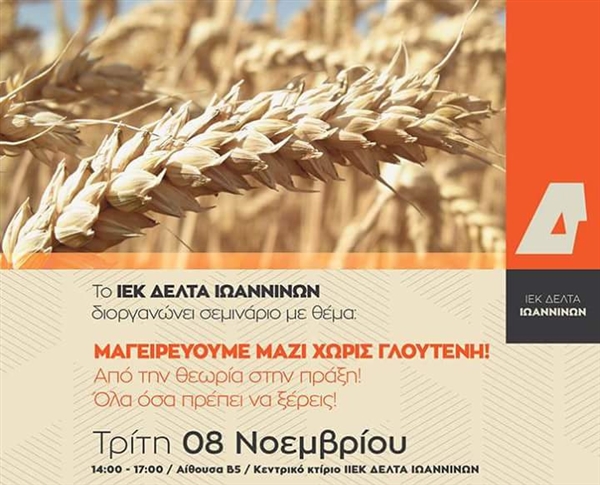 Σεμινάριο στα Ιωάννινα